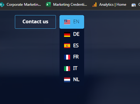 multilingual international website